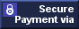 Secure online payment with NOCHEX